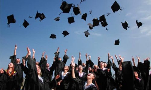 Bachelor’s Degree in Digital Arts (Animation)